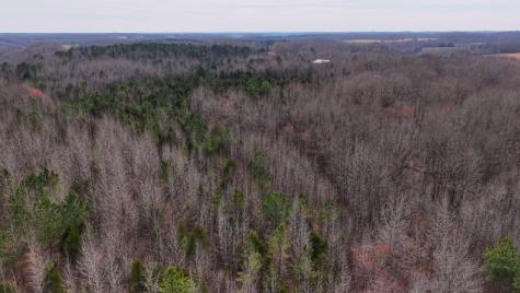 0 Tbd Davis Hollow Road Minor Hill TN 38473
