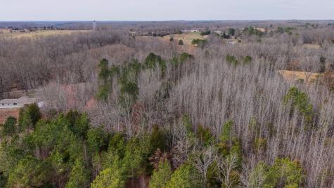 0 Tbd Davis Hollow Road Minor Hill TN 38473