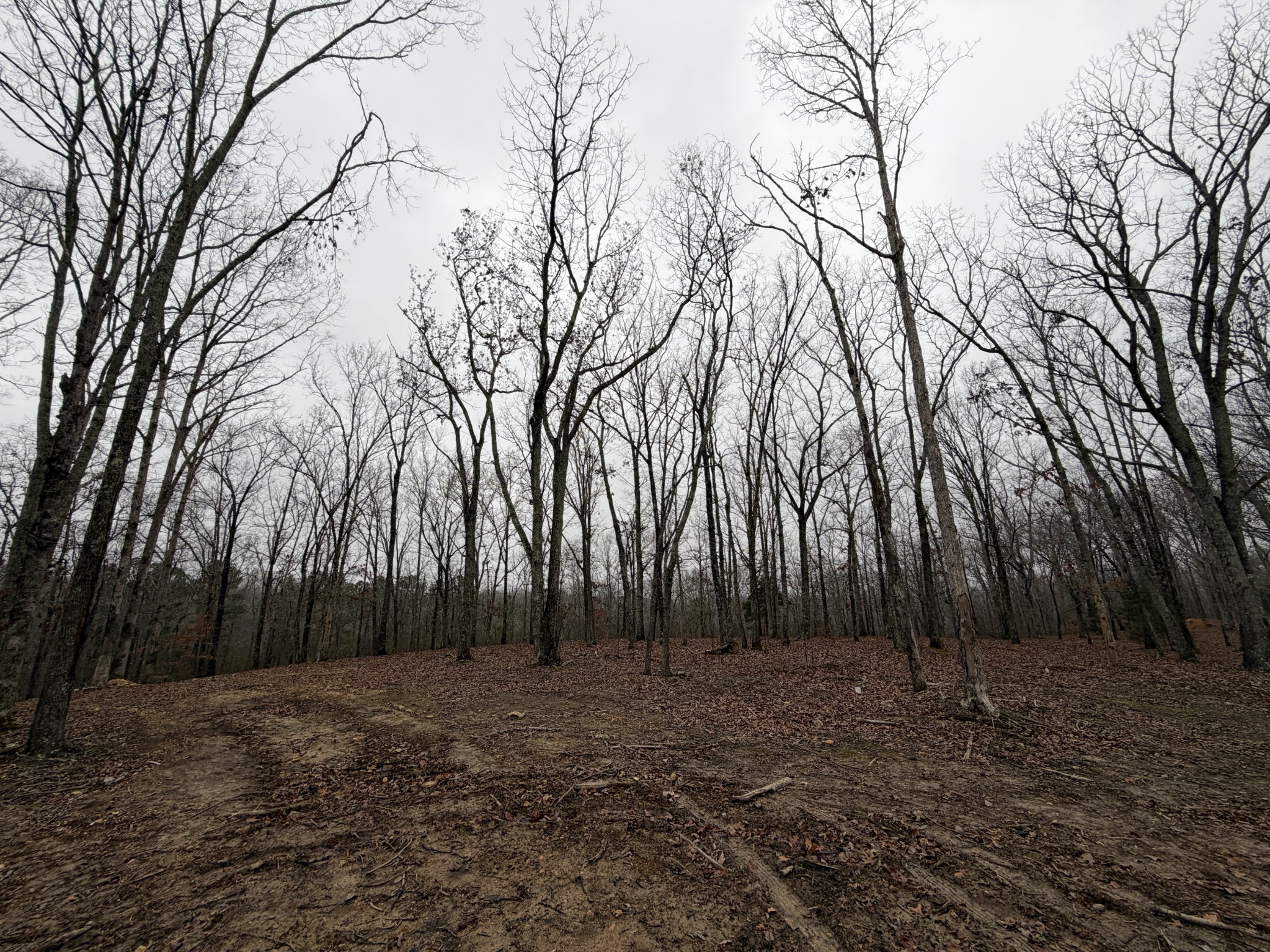 0 Highway 50 East Centerville TN 37033