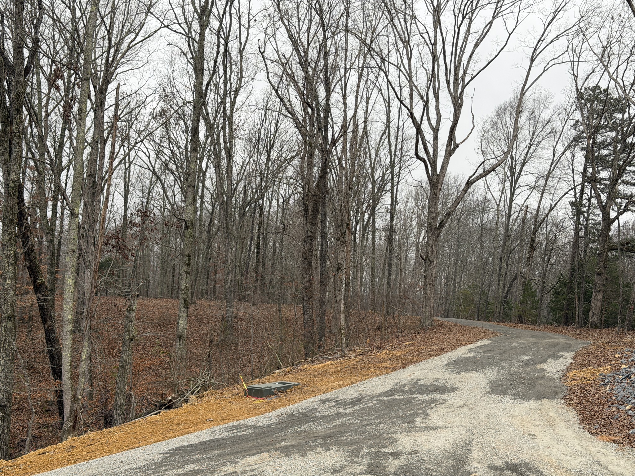 0 Highway 50 East Centerville TN 37033