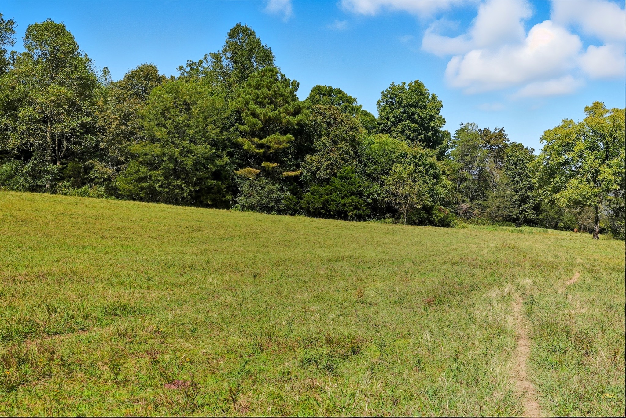 0 Jenkins Road Sparta TN 38583