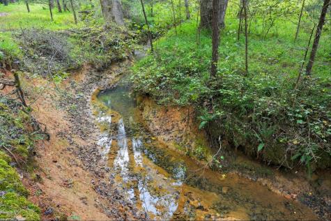 0 Jenkins Road Sparta TN 38583