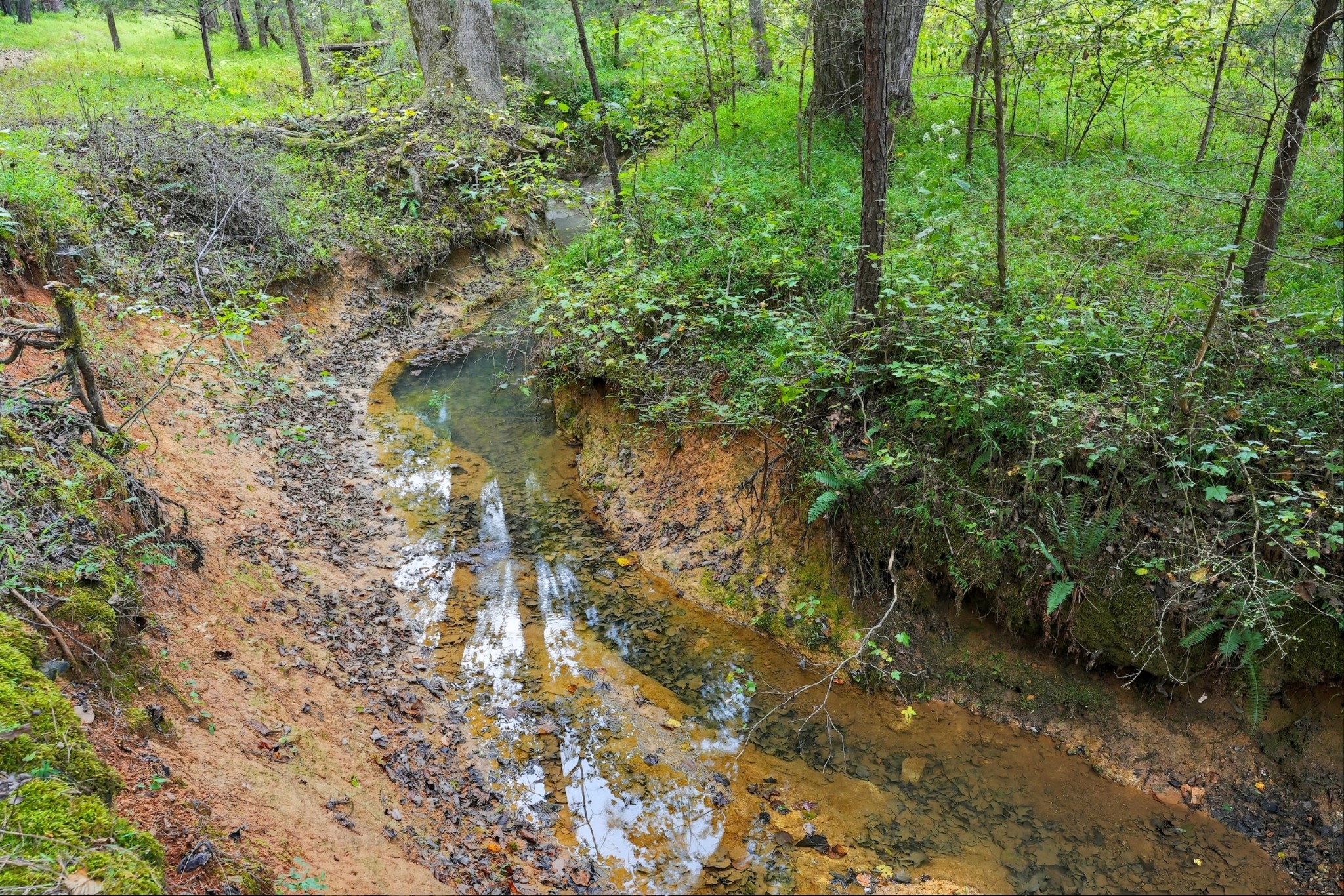 0 Jenkins Road Sparta TN 38583