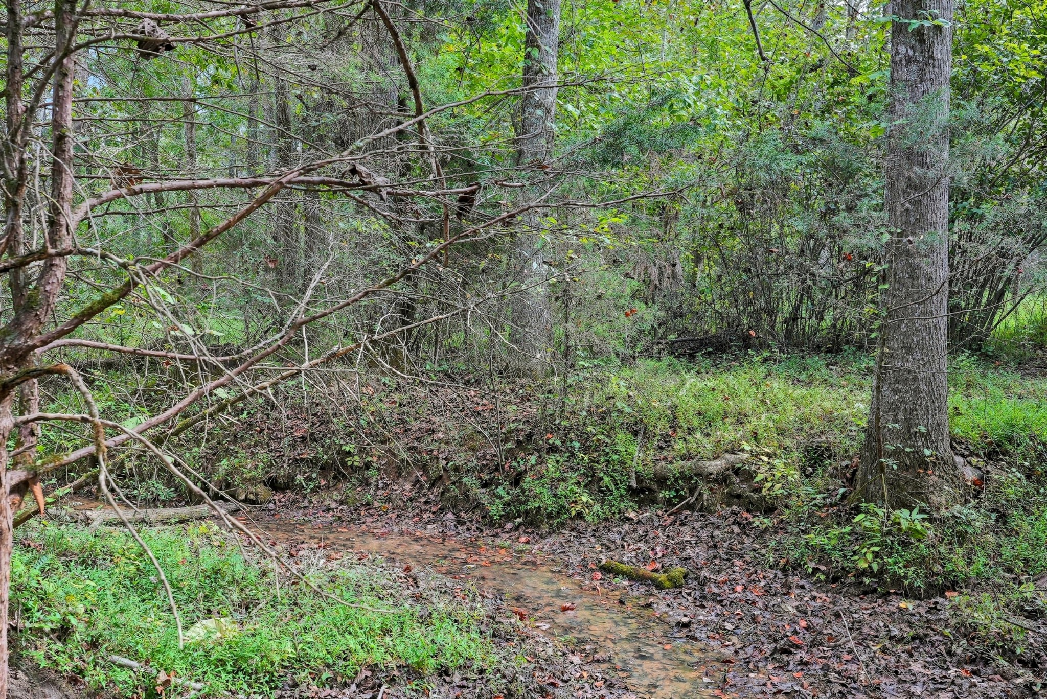 0 Jenkins Road Sparta TN 38583