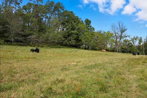0 Jenkins Road Sparta TN 38583