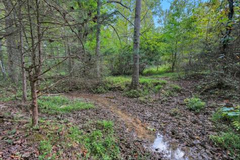 0 Jenkins Road Sparta TN 38583