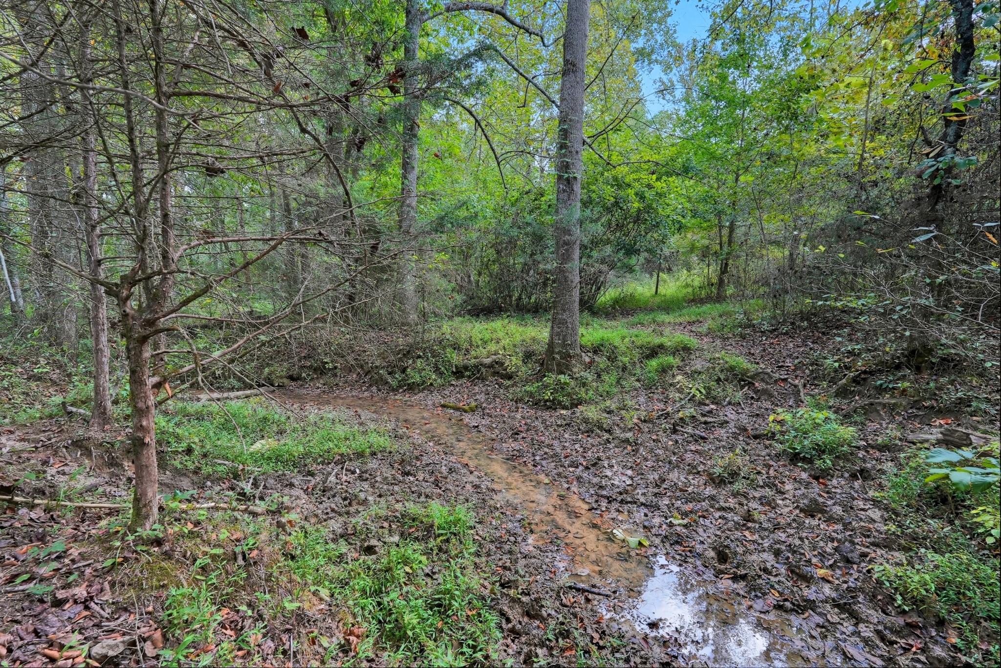 0 Jenkins Road Sparta TN 38583