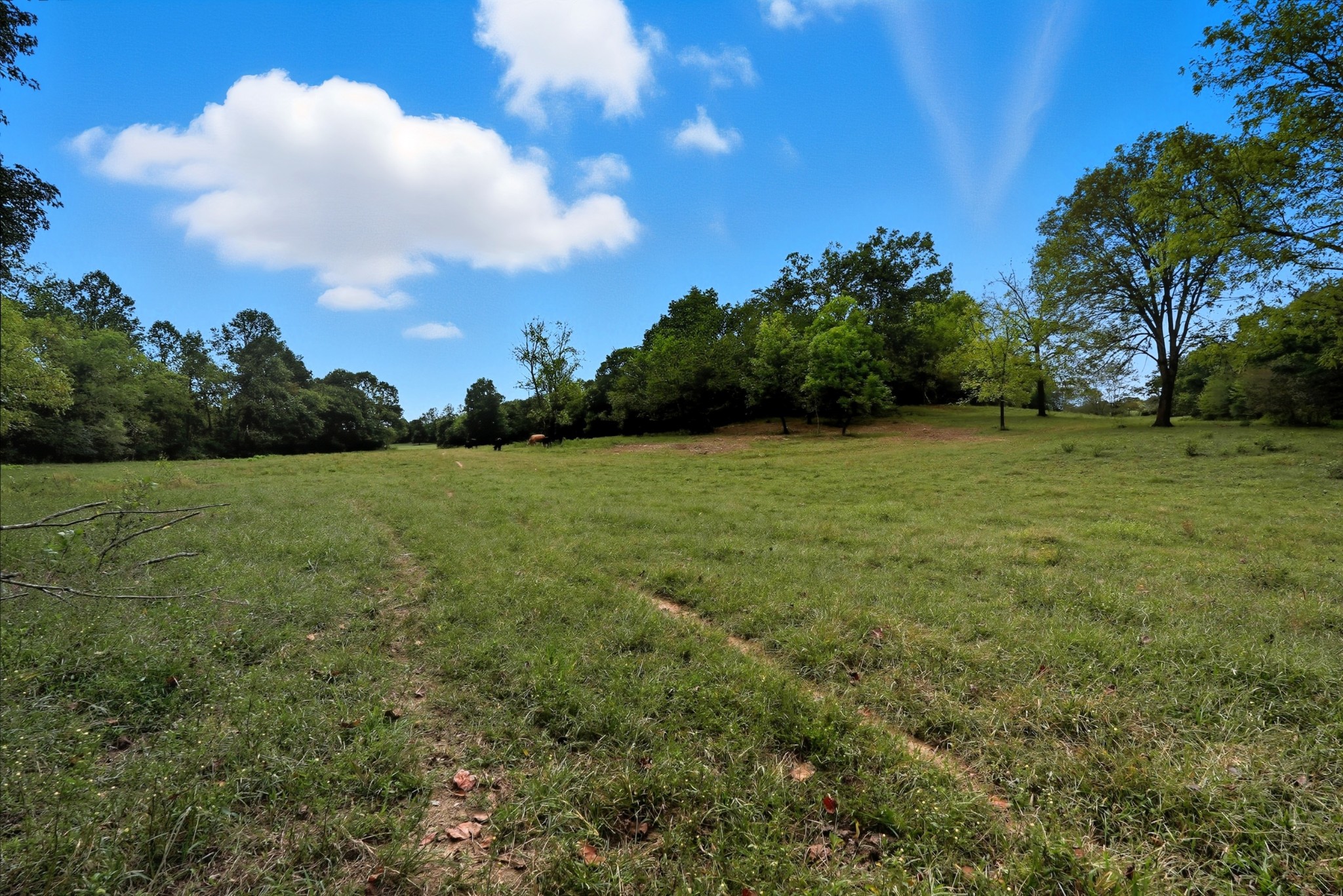 0 Jenkins Road Sparta TN 38583