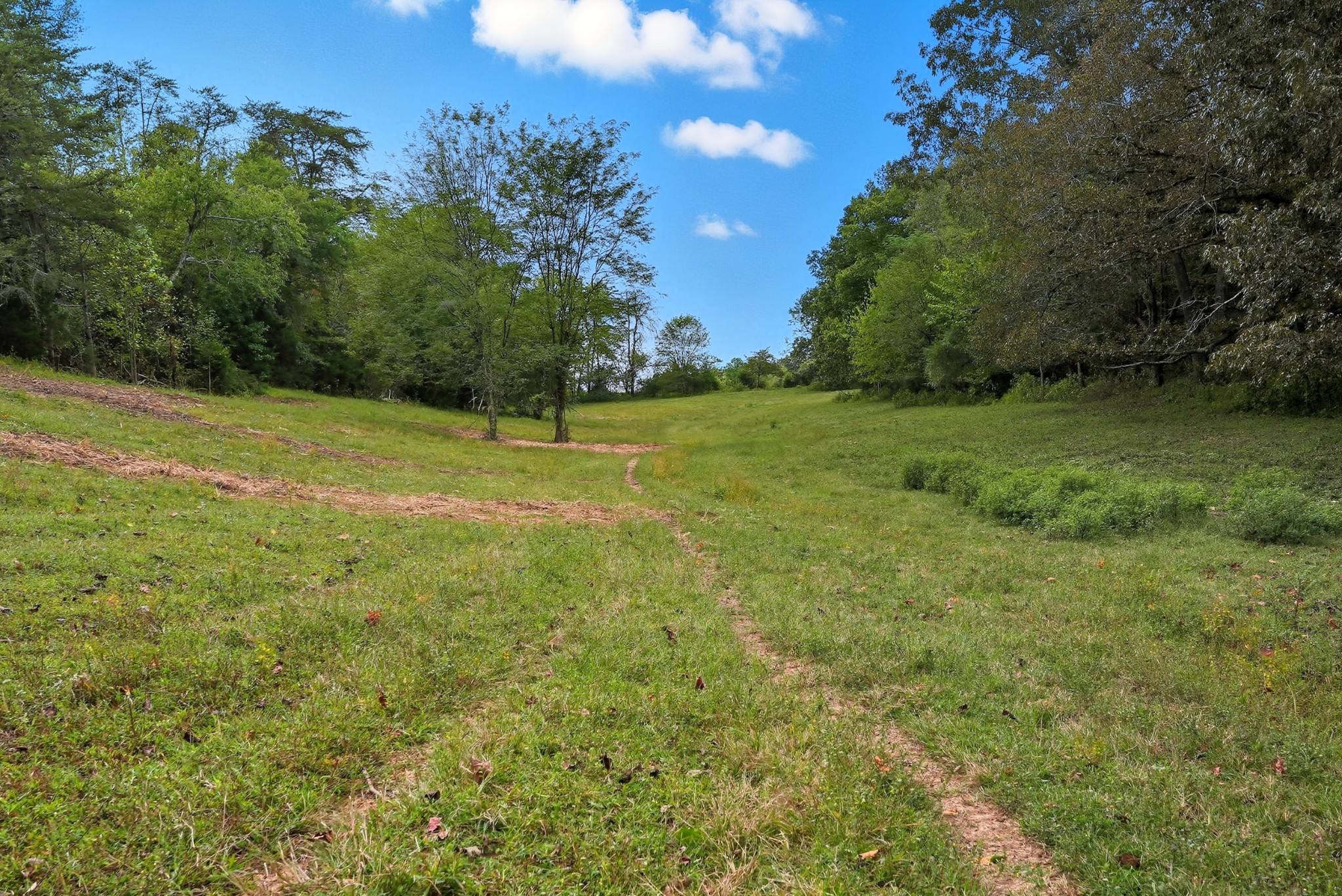 0 Jenkins Road Sparta TN 38583