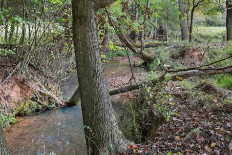 0 Jenkins Road Sparta TN 38583