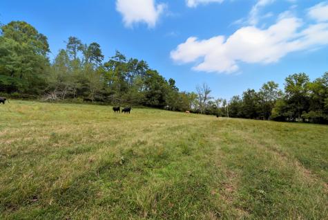 0 Jenkins Road Sparta TN 38583