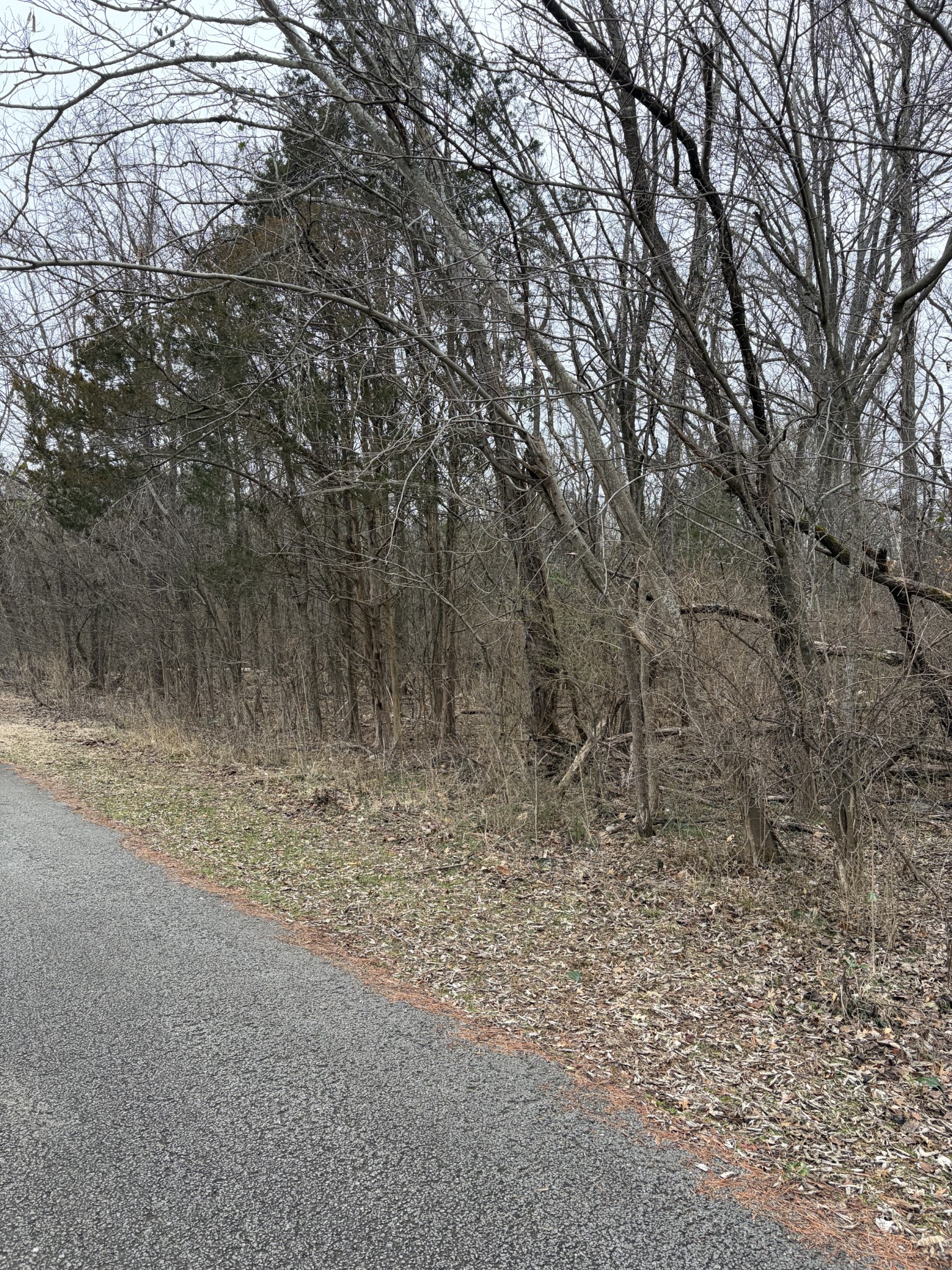 0 Dixie Lane Murfreesboro TN 37129