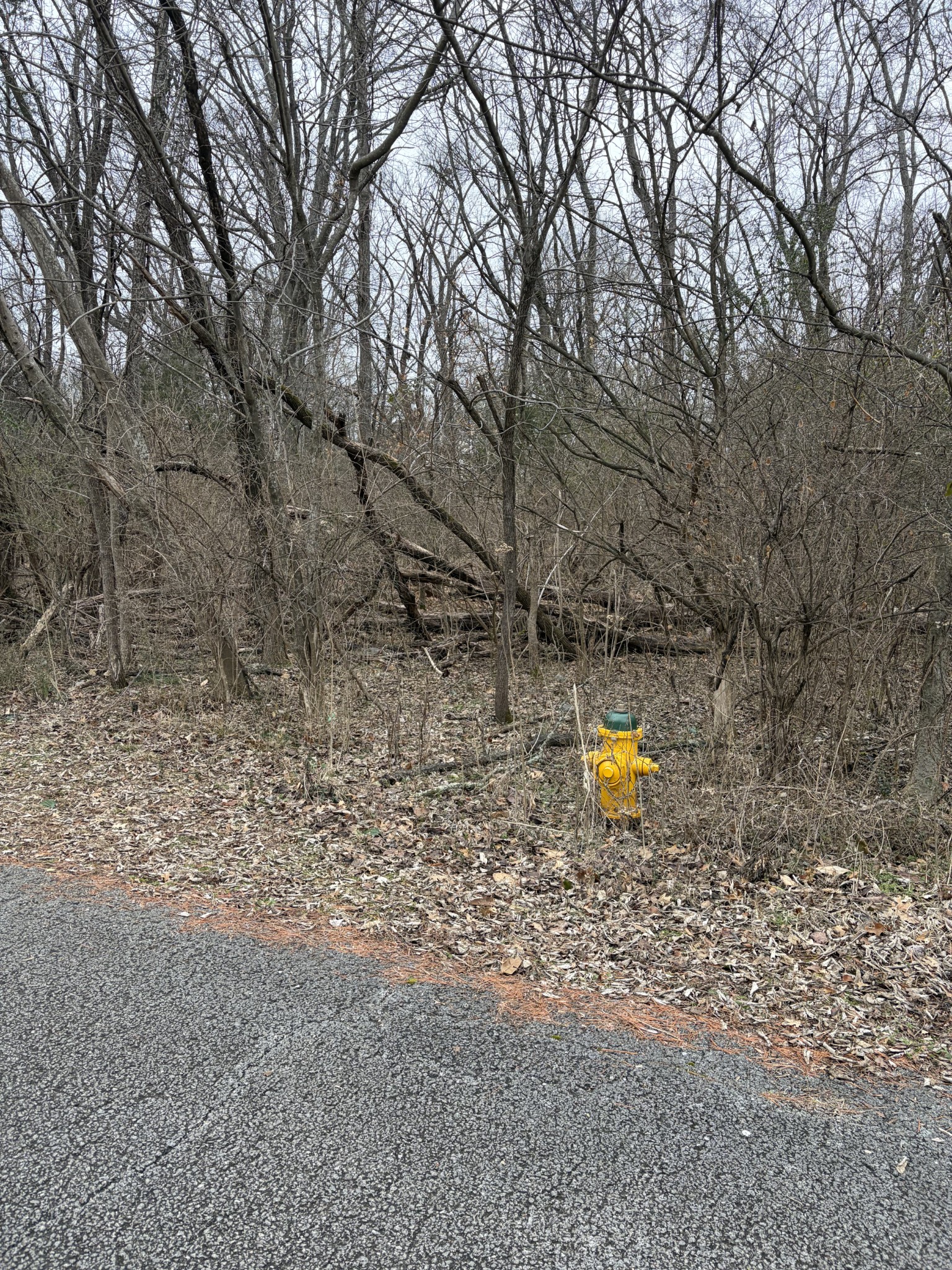 0 Dixie Lane Murfreesboro TN 37129