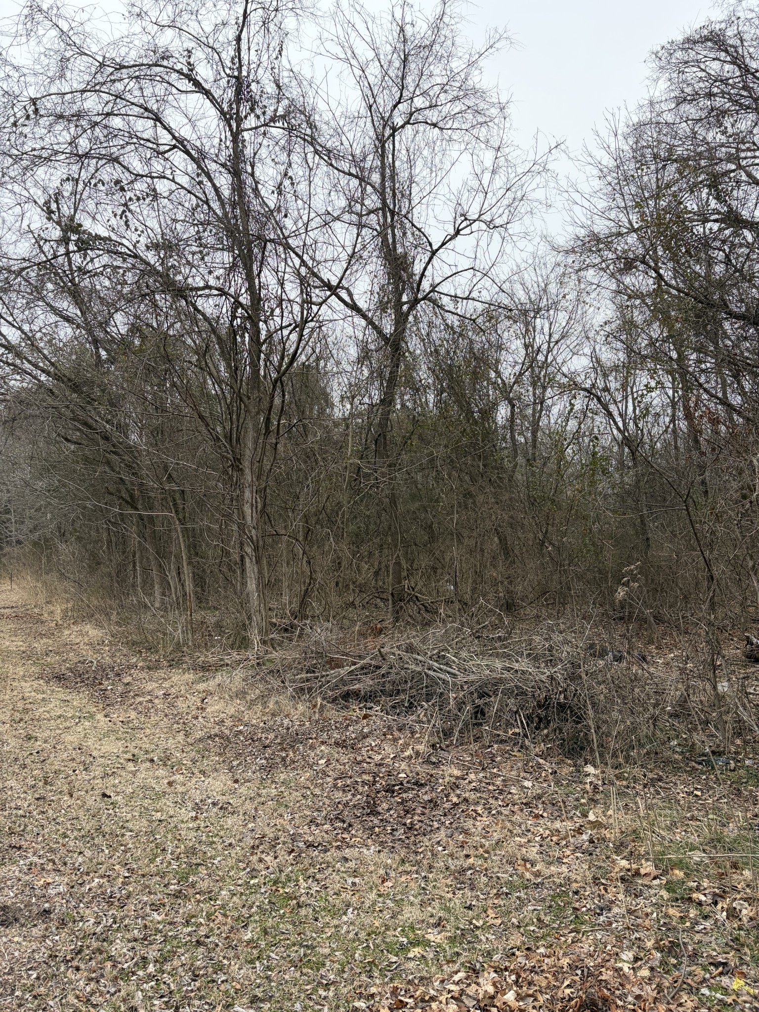 0 Dixie Lane Murfreesboro TN 37129