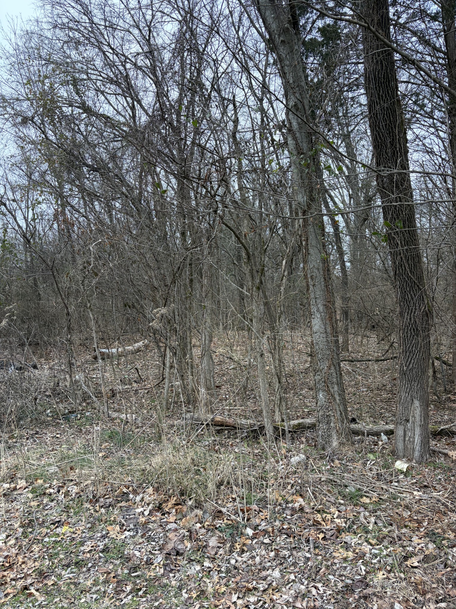 0 Dixie Lane Murfreesboro TN 37129