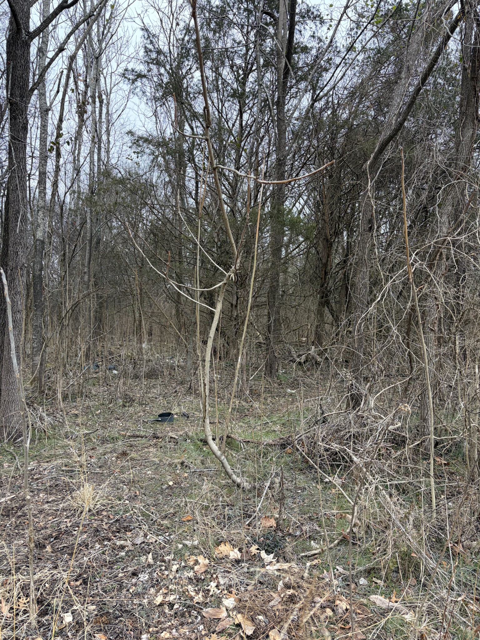 0 Dixie Lane Murfreesboro TN 37129