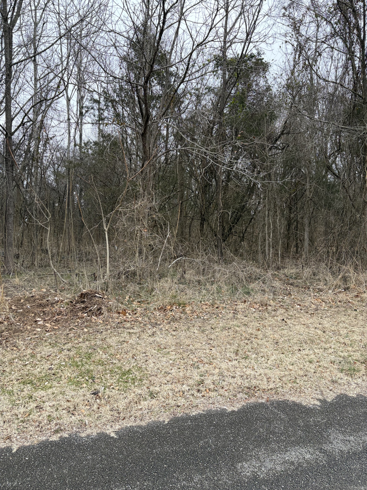 0 Dixie Lane Murfreesboro TN 37129