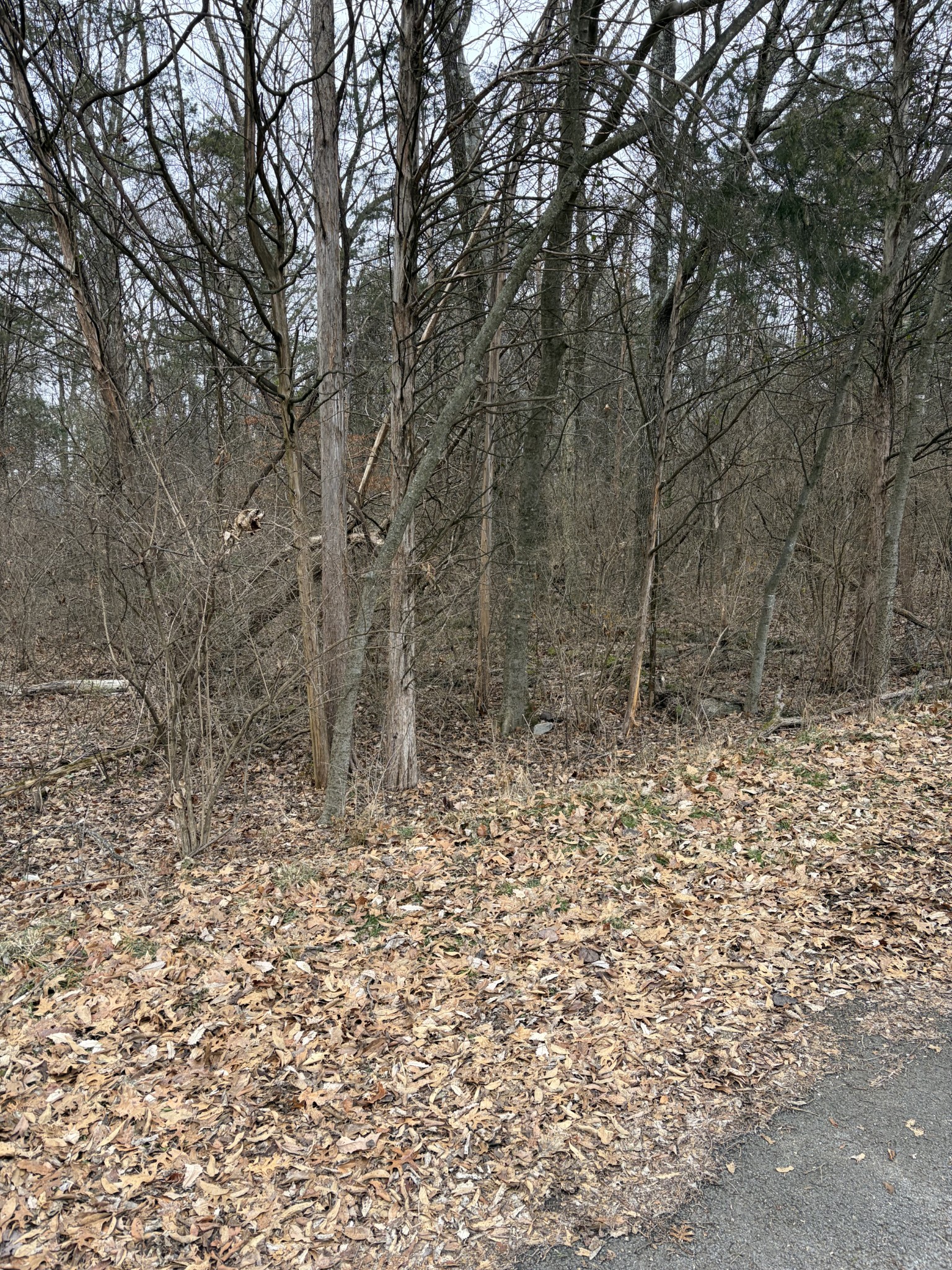0 Dixie Lane Murfreesboro TN 37129