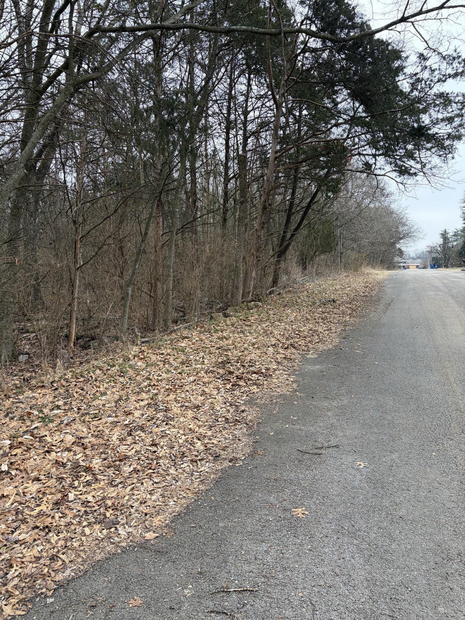 0 Dixie Lane Murfreesboro TN 37129