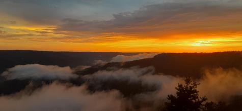 190 Gray Fox Court Jasper TN 37347