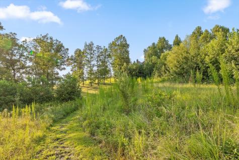 190 Gray Fox Court Jasper TN 37347