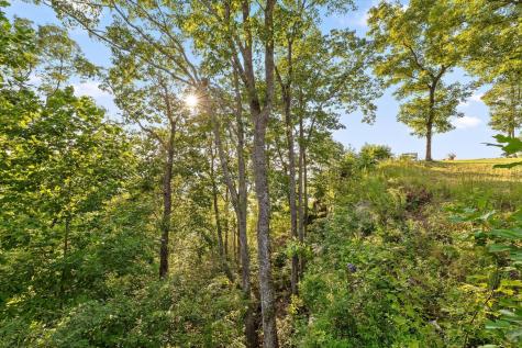 190 Gray Fox Court Jasper TN 37347