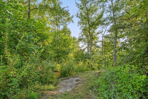 190 Gray Fox Court Jasper TN 37347