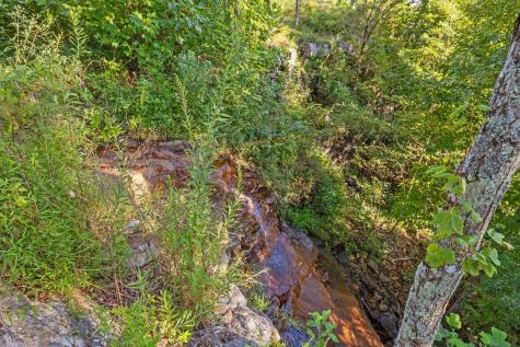 190 Gray Fox Court Jasper TN 37347