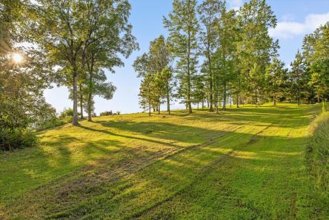 190 Gray Fox Court Jasper TN 37347