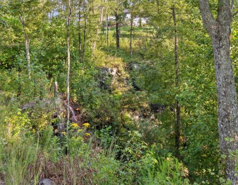 190 Gray Fox Court Jasper TN 37347