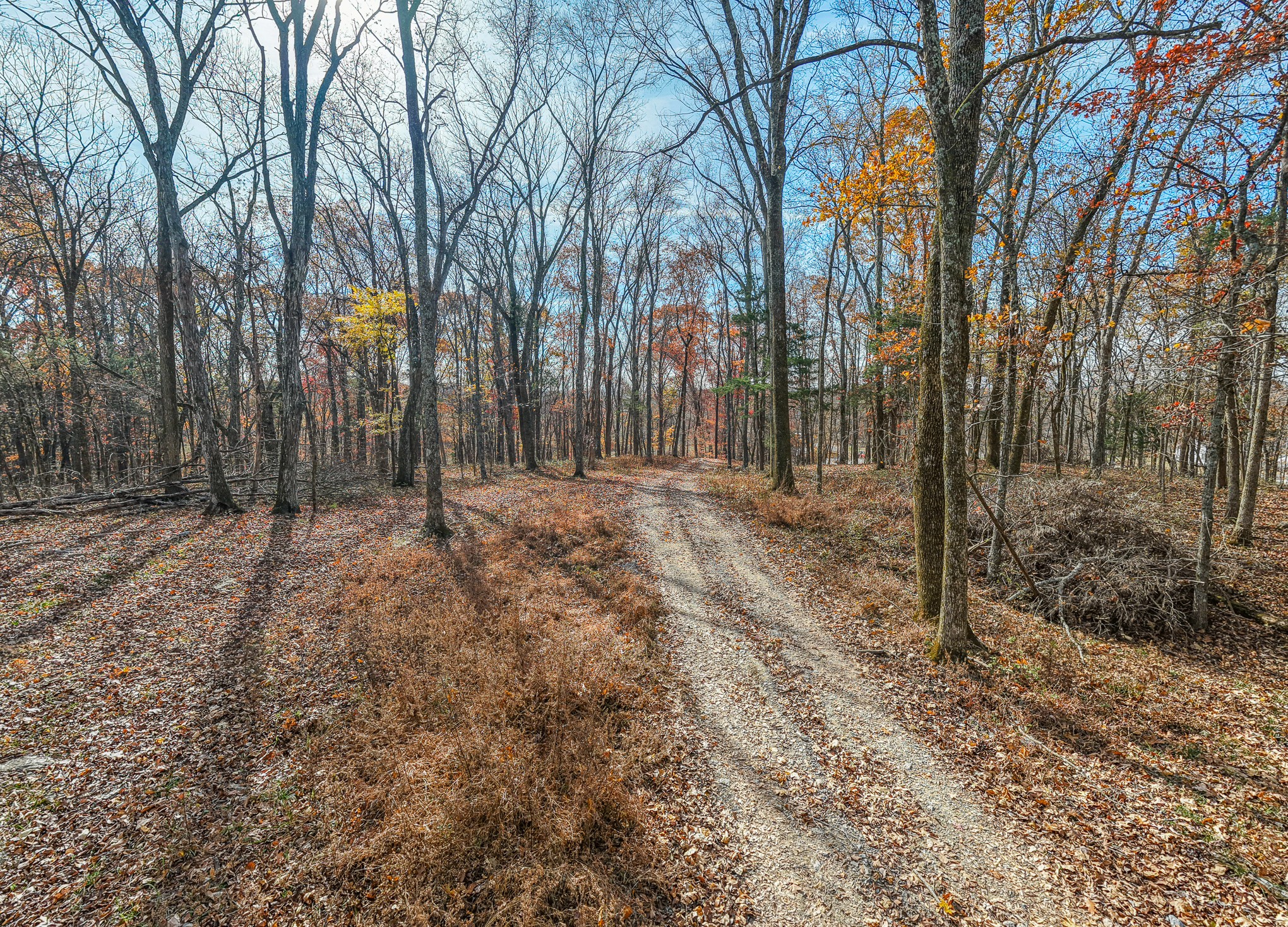 1511 Belotes Ferry Road Lebanon TN 37087