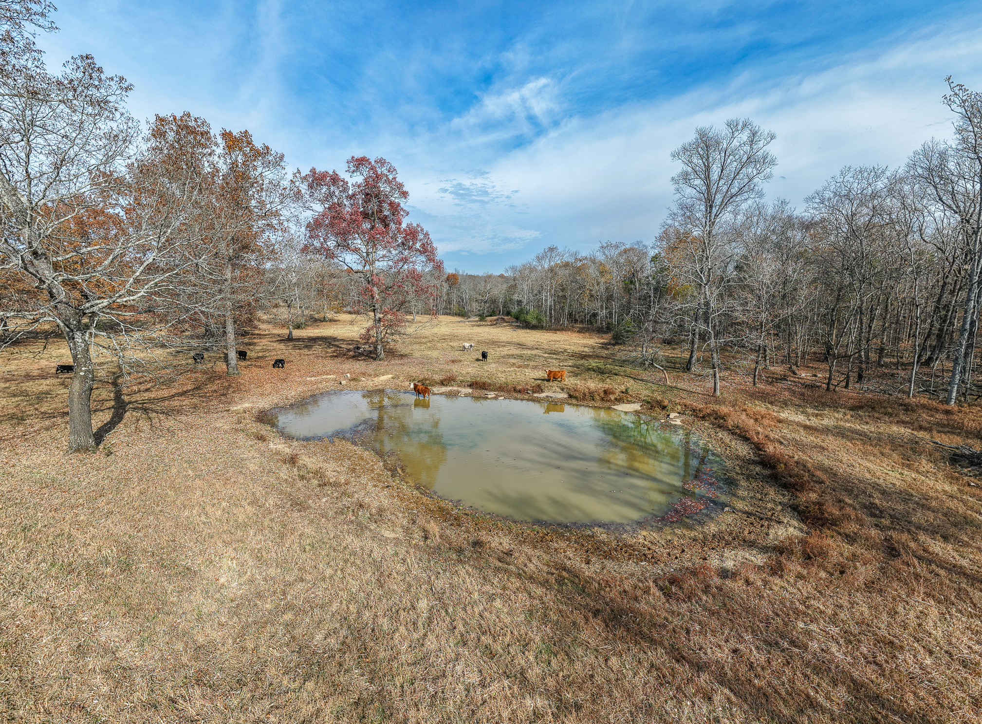 1511 Belotes Ferry Road Lebanon TN 37087
