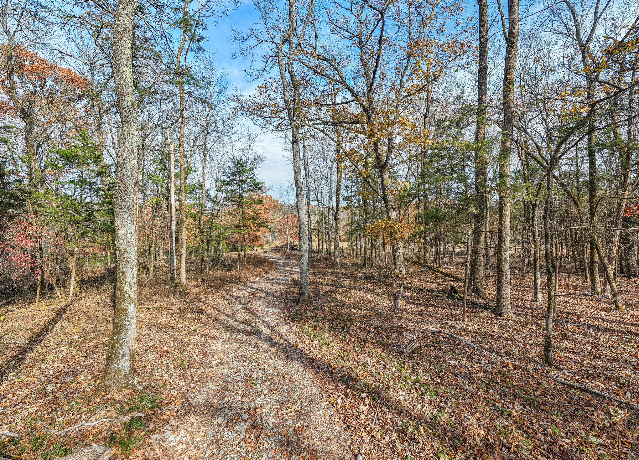 1511 Belotes Ferry Road Lebanon TN 37087