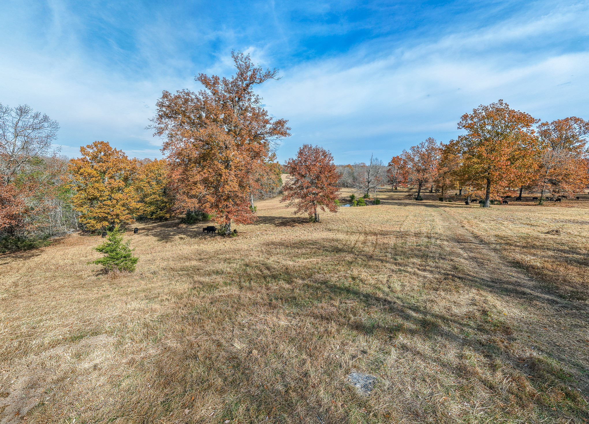 1511 Belotes Ferry Road Lebanon TN 37087