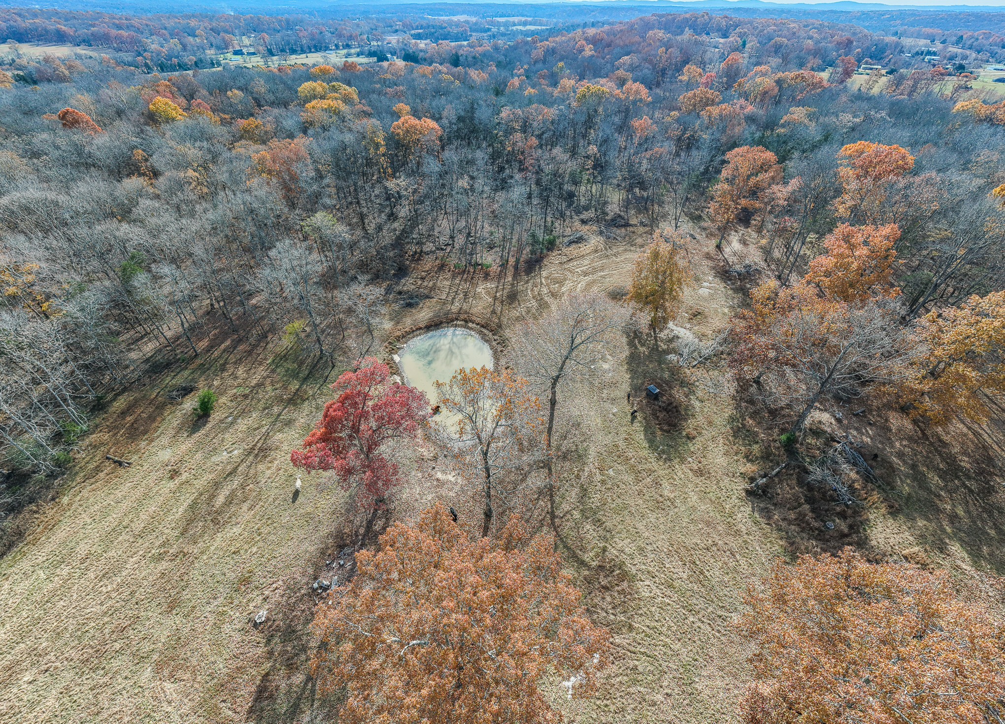 1511 Belotes Ferry Road Lebanon TN 37087
