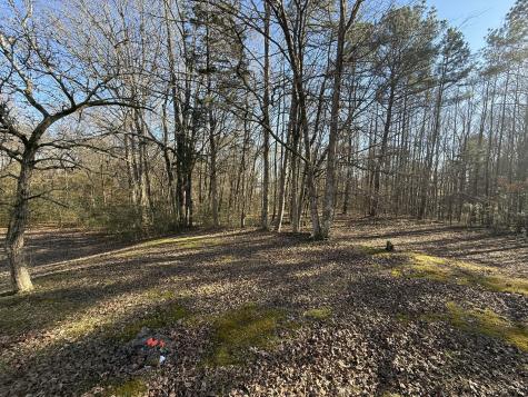 153 Lucas Road Eva TN 38333
