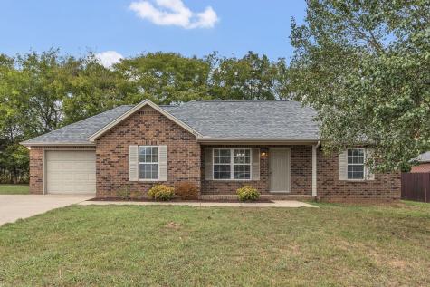 4044 Snowbird Drive Smyrna TN 37167
