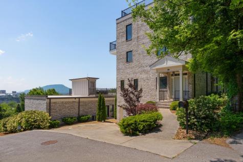 294 Druid Lane Chattanooga TN 37405