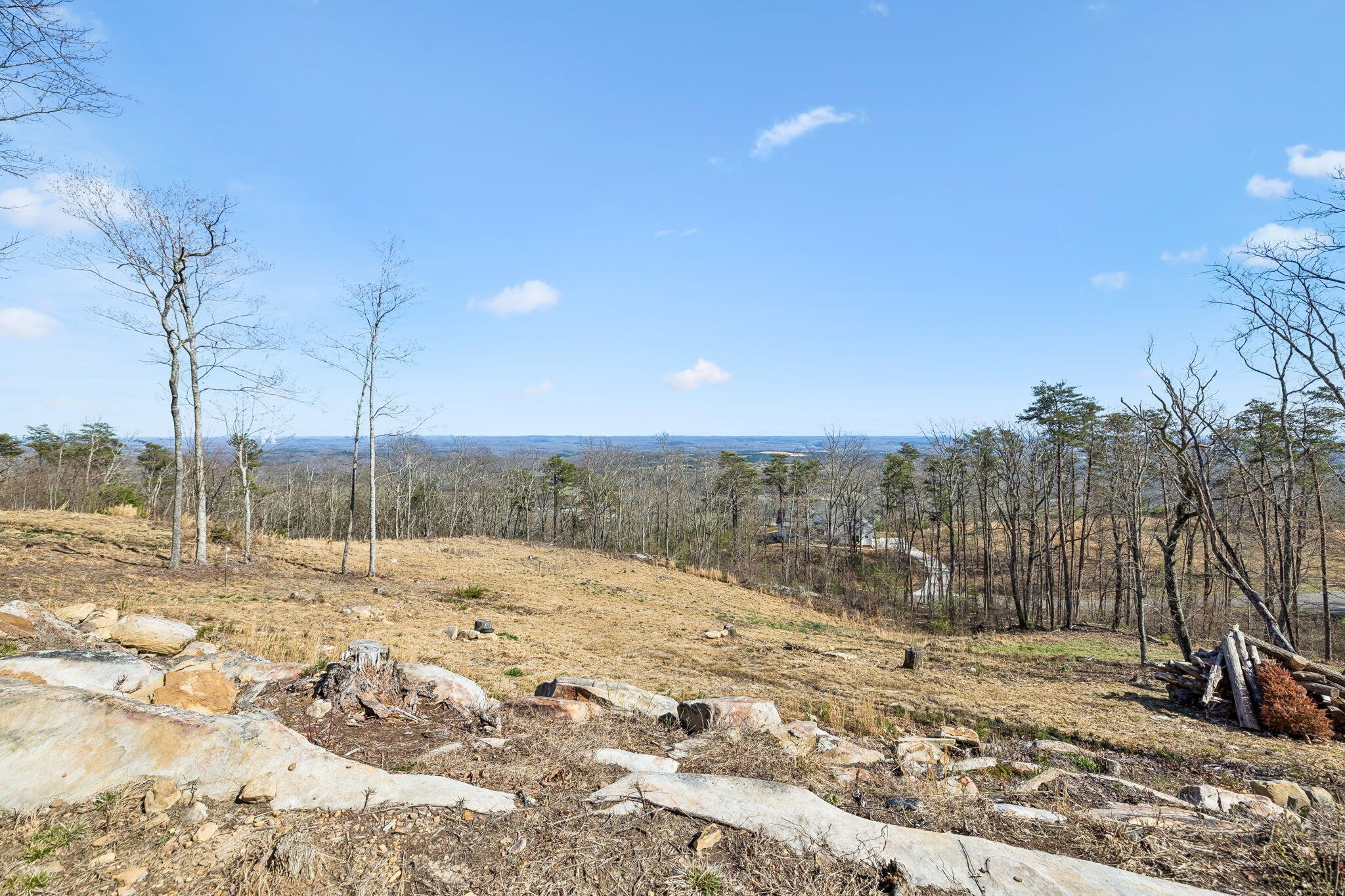 230 Duckwood Lane Evensville TN 37332