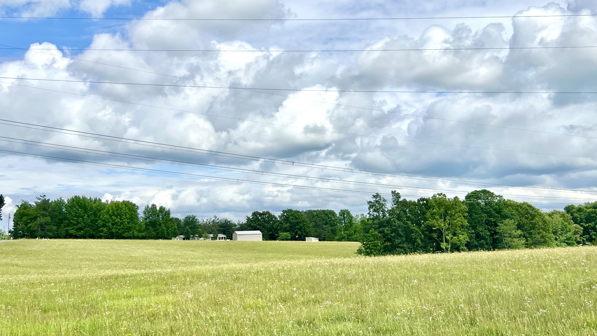 147 Paul Spears Road Summertown TN 38483