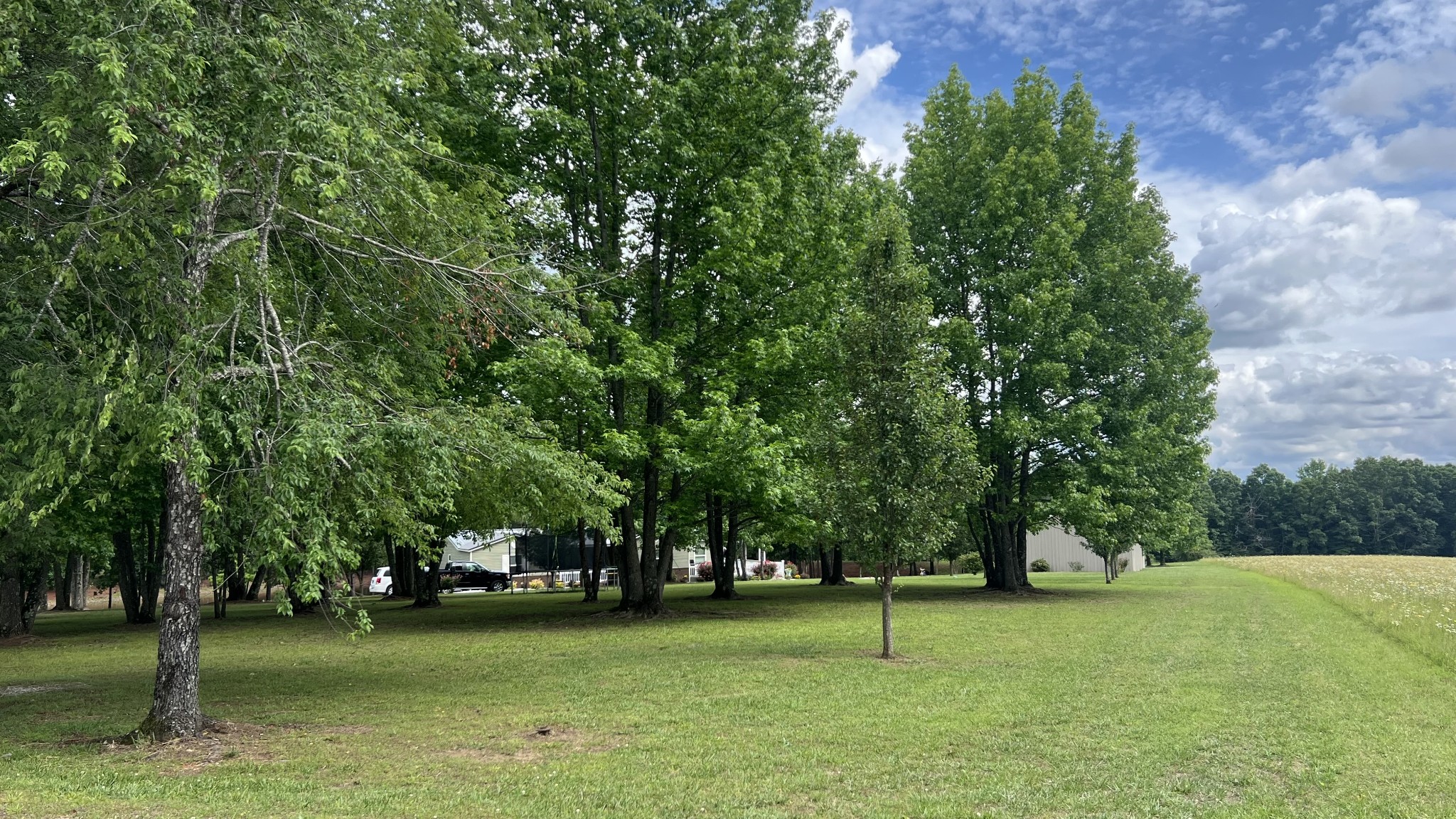 147 Paul Spears Road Summertown TN 38483