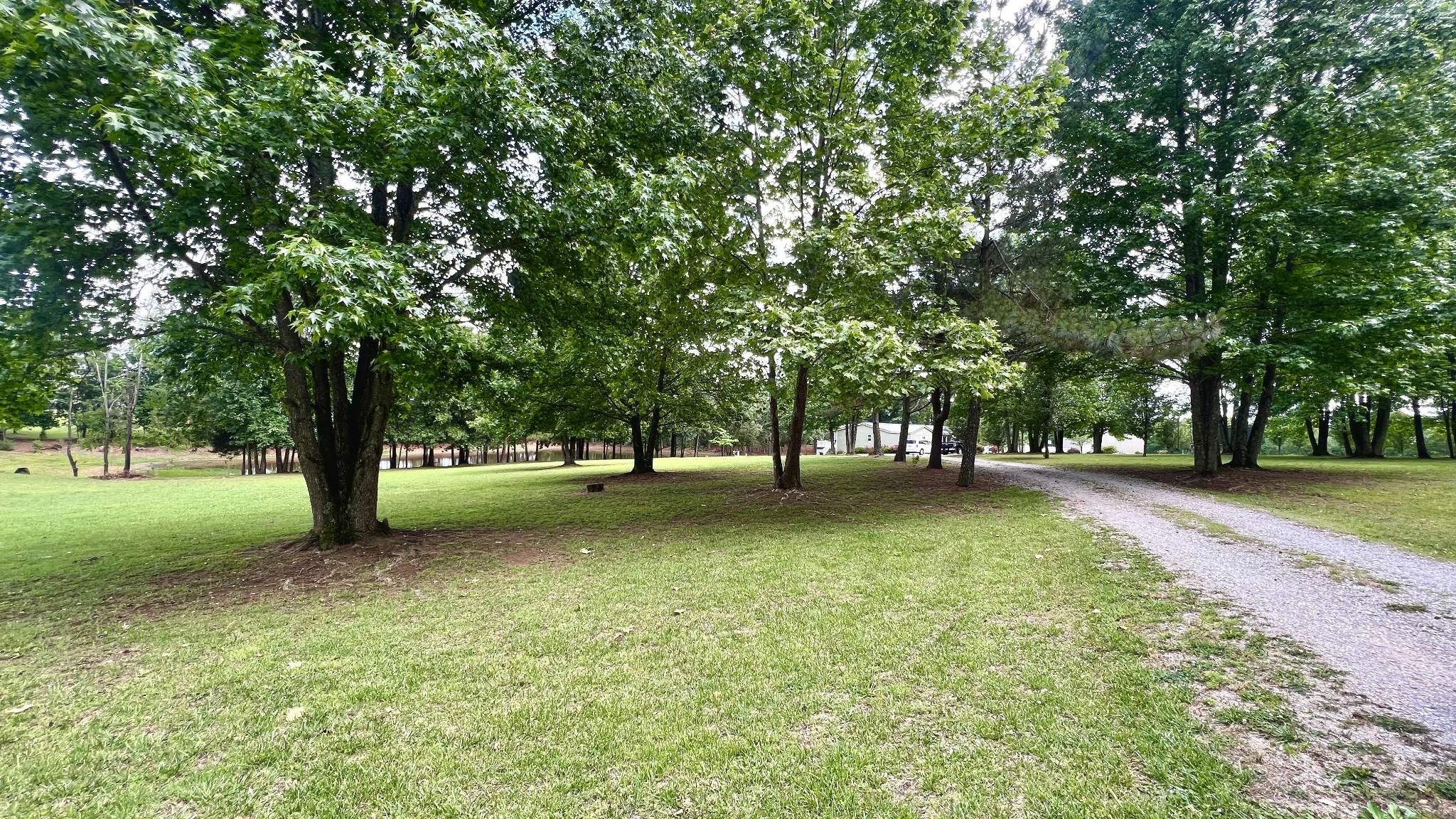 147 Paul Spears Road Summertown TN 38483