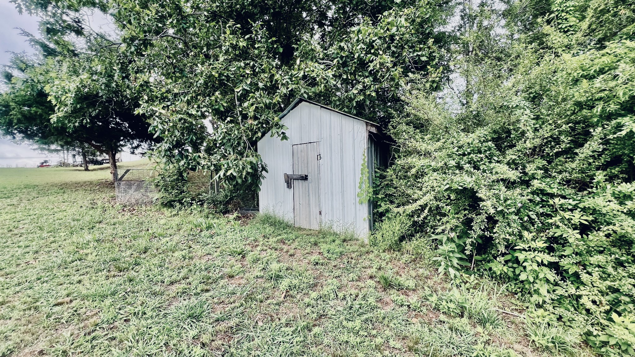 147 Paul Spears Road Summertown TN 38483