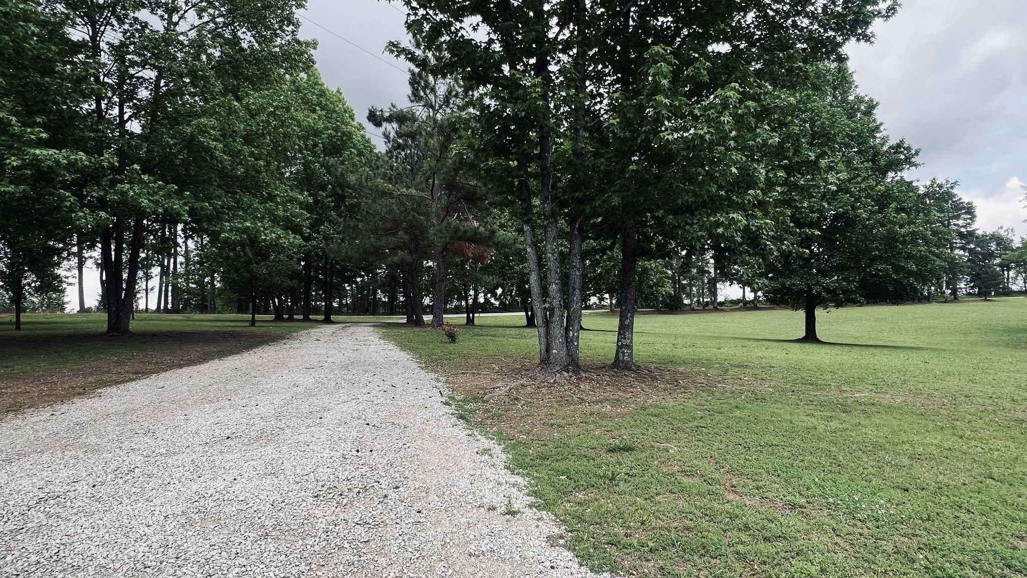 147 Paul Spears Road Summertown TN 38483