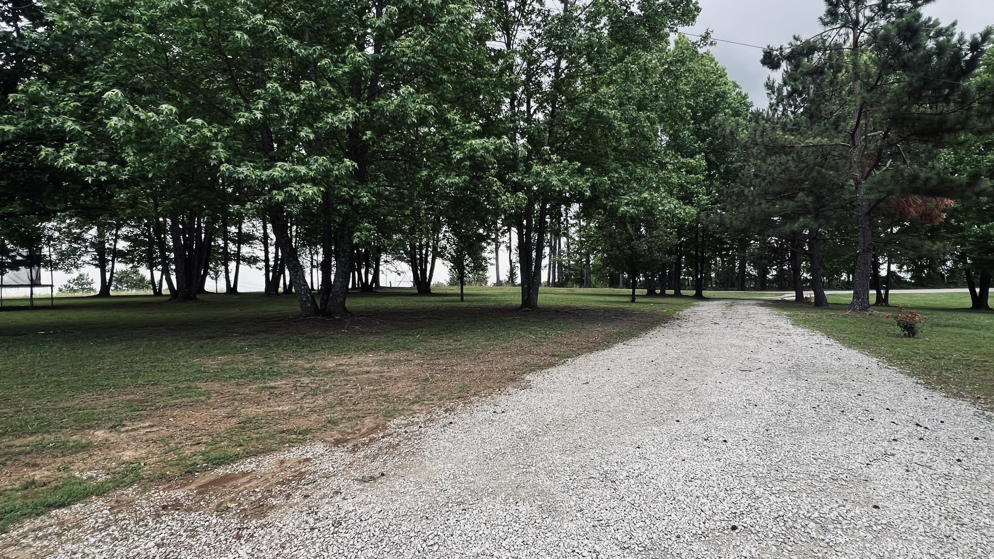 147 Paul Spears Road Summertown TN 38483