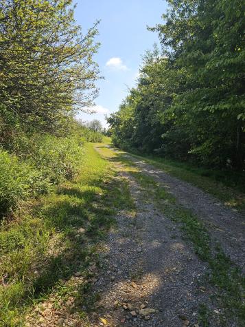 425 Nubia Road Westmoreland TN 37186