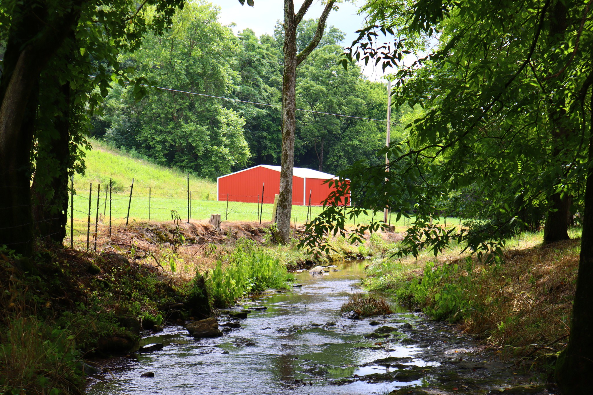 0 W Fork Riley Creek Lane Whitleyville TN 38588