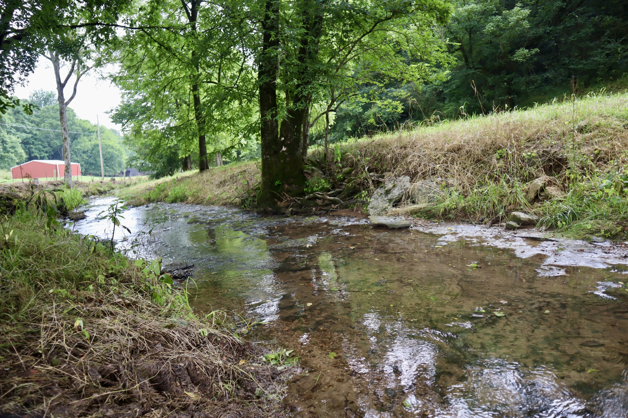0 W Fork Riley Creek Lane Whitleyville TN 38588