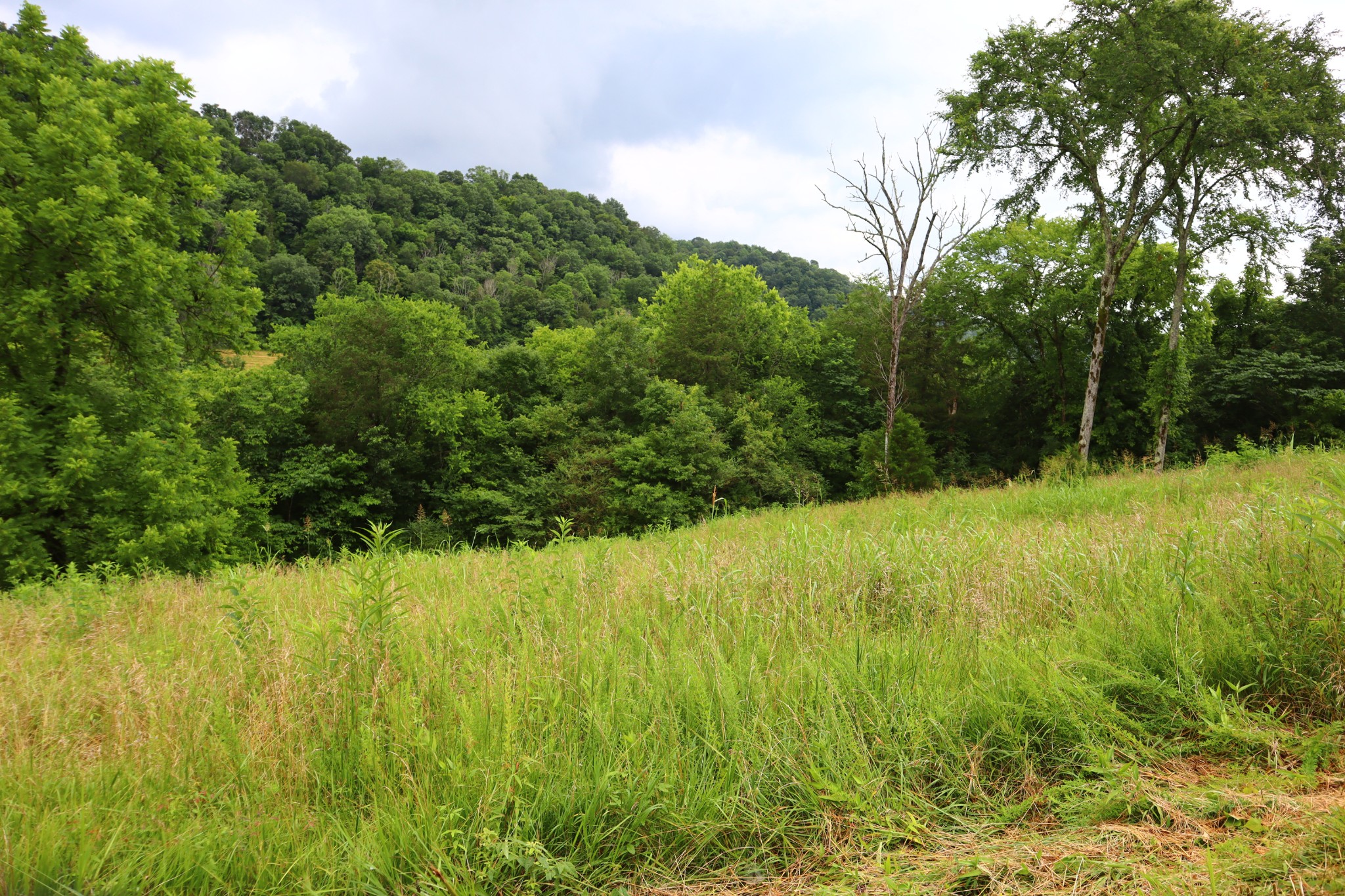 0 W Fork Riley Creek Lane Whitleyville TN 38588