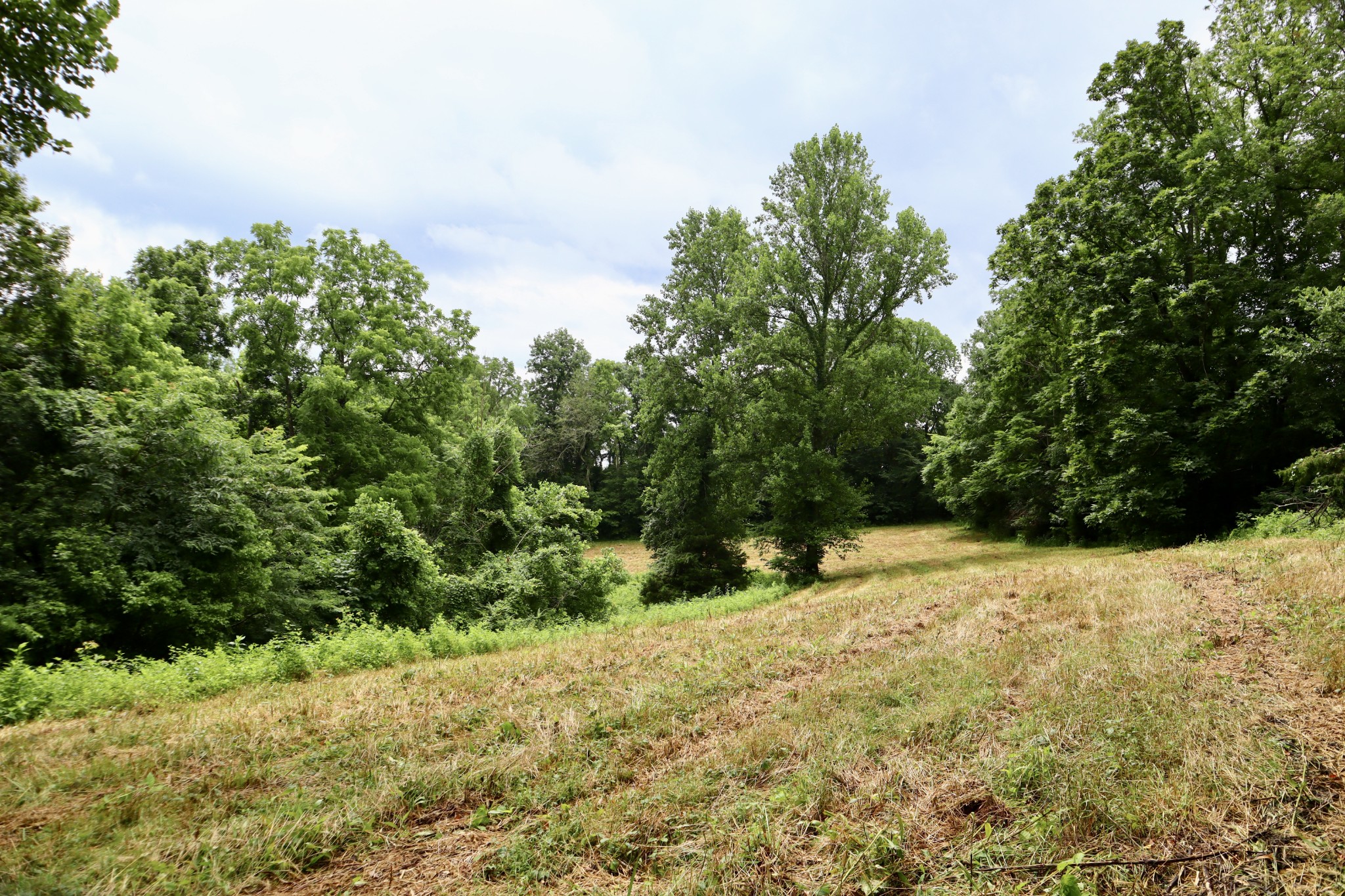 0 W Fork Riley Creek Lane Whitleyville TN 38588